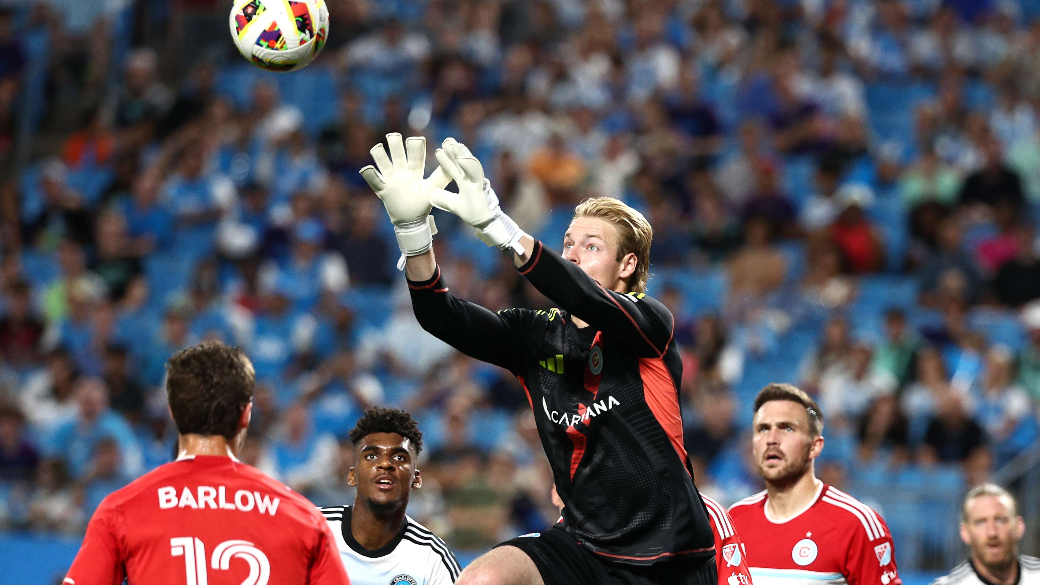 这些因素共 这些因素共